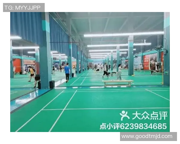 深圳羽毛球队在欧锦赛中的技术表现分析与点评 深圳羽毛球队在欧锦赛中的技术表现分析与点评